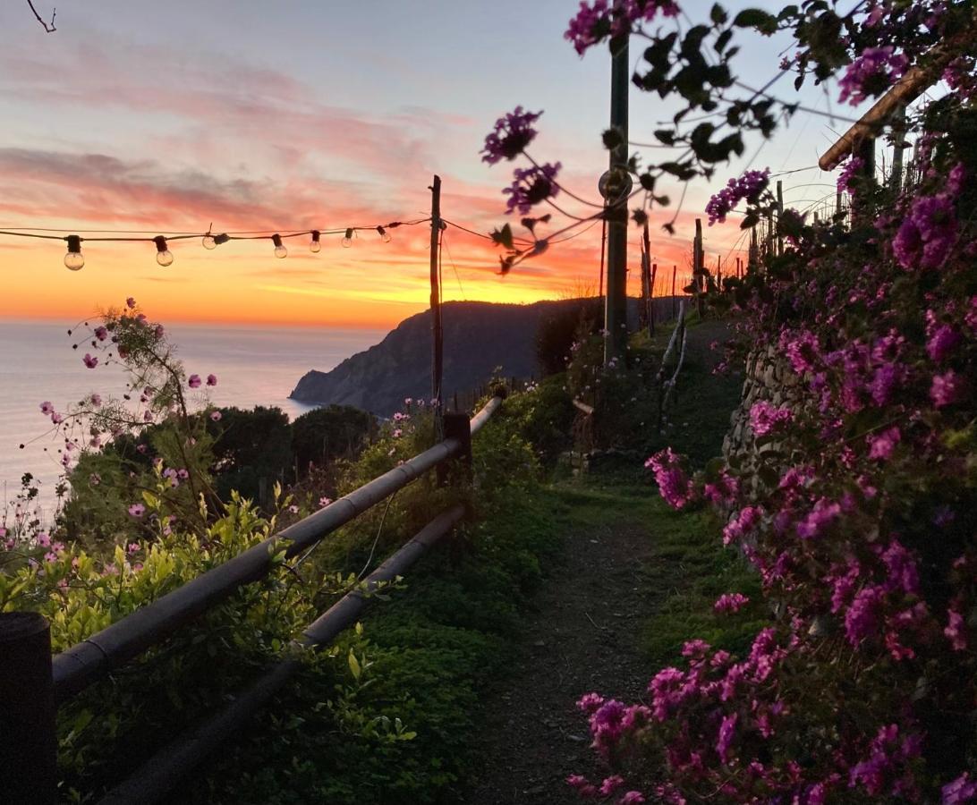 Pietrafiore Farm stay Monterosso al Mare