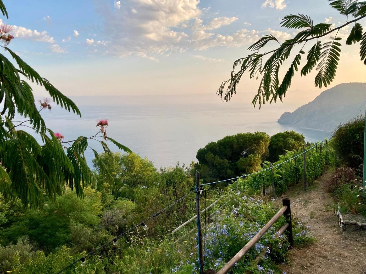 Farm stay Pietrafiore Monterosso al Mare