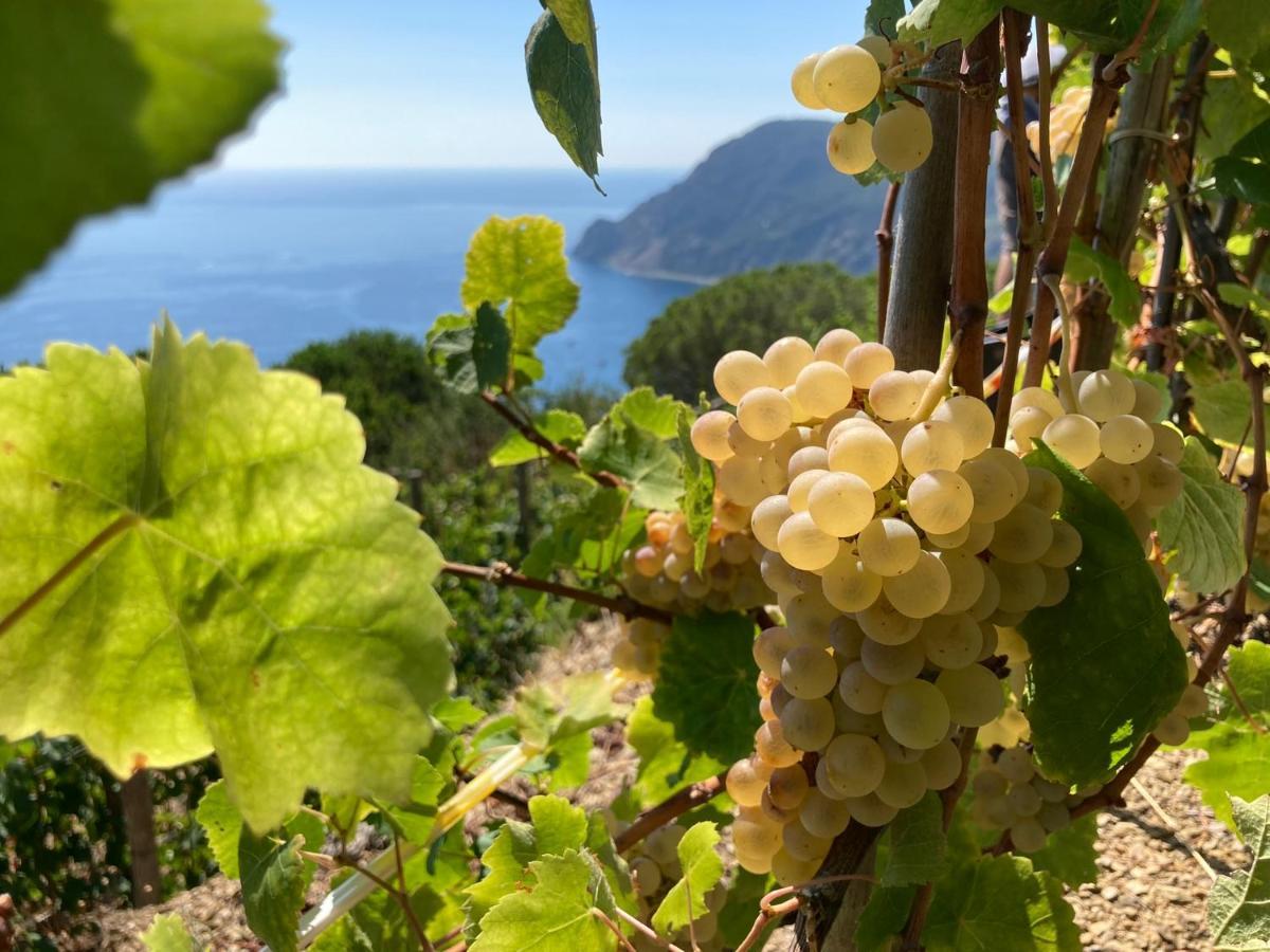 Pietrafiore Farm stay *
