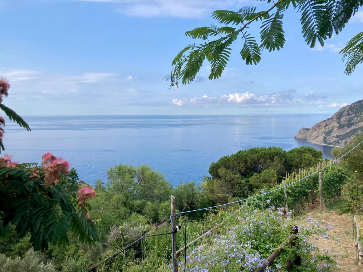 Pietrafiore Farm stay *