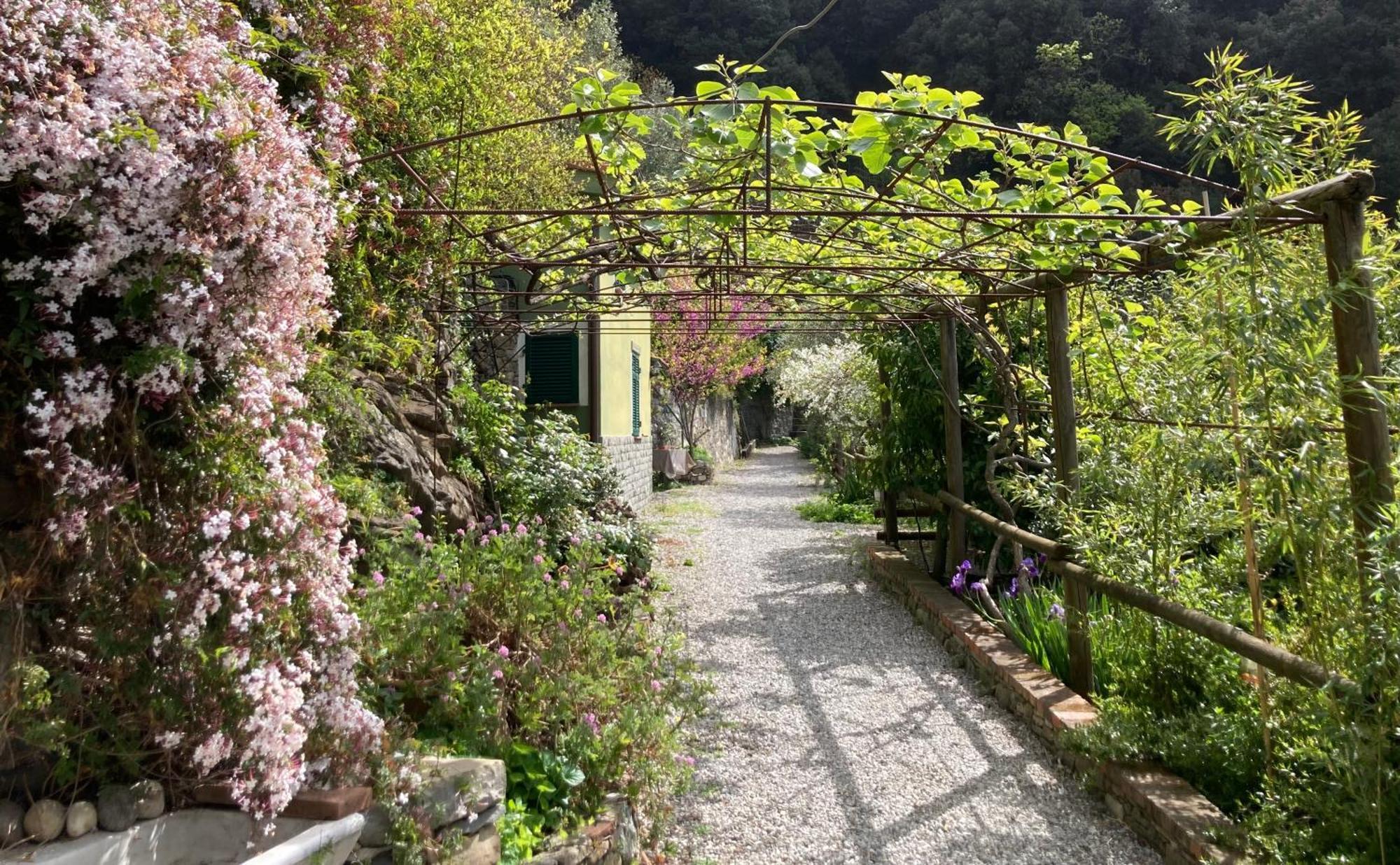 Pietrafiore Monterosso al Mare
