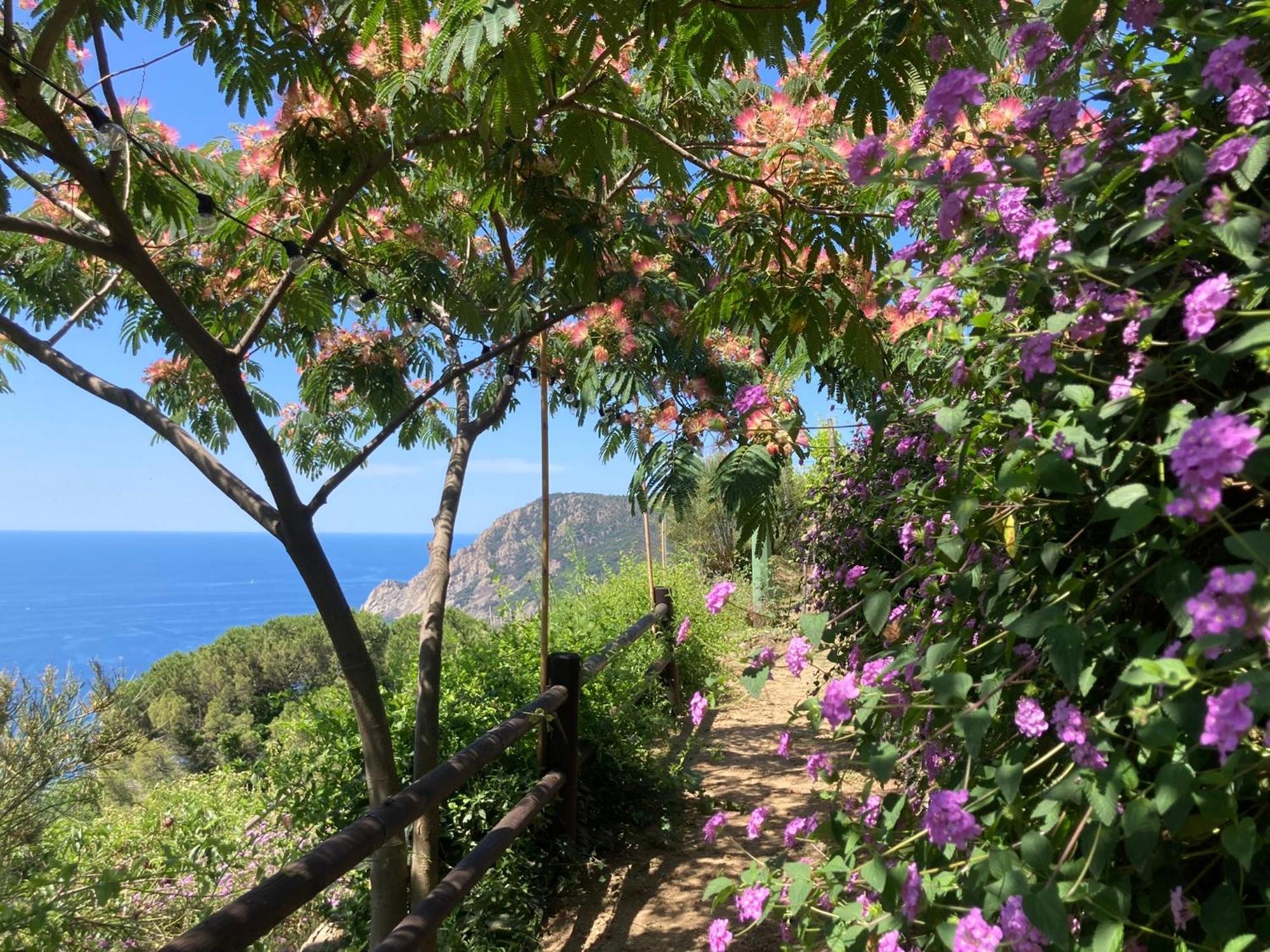 Pietrafiore * Monterosso al Mare