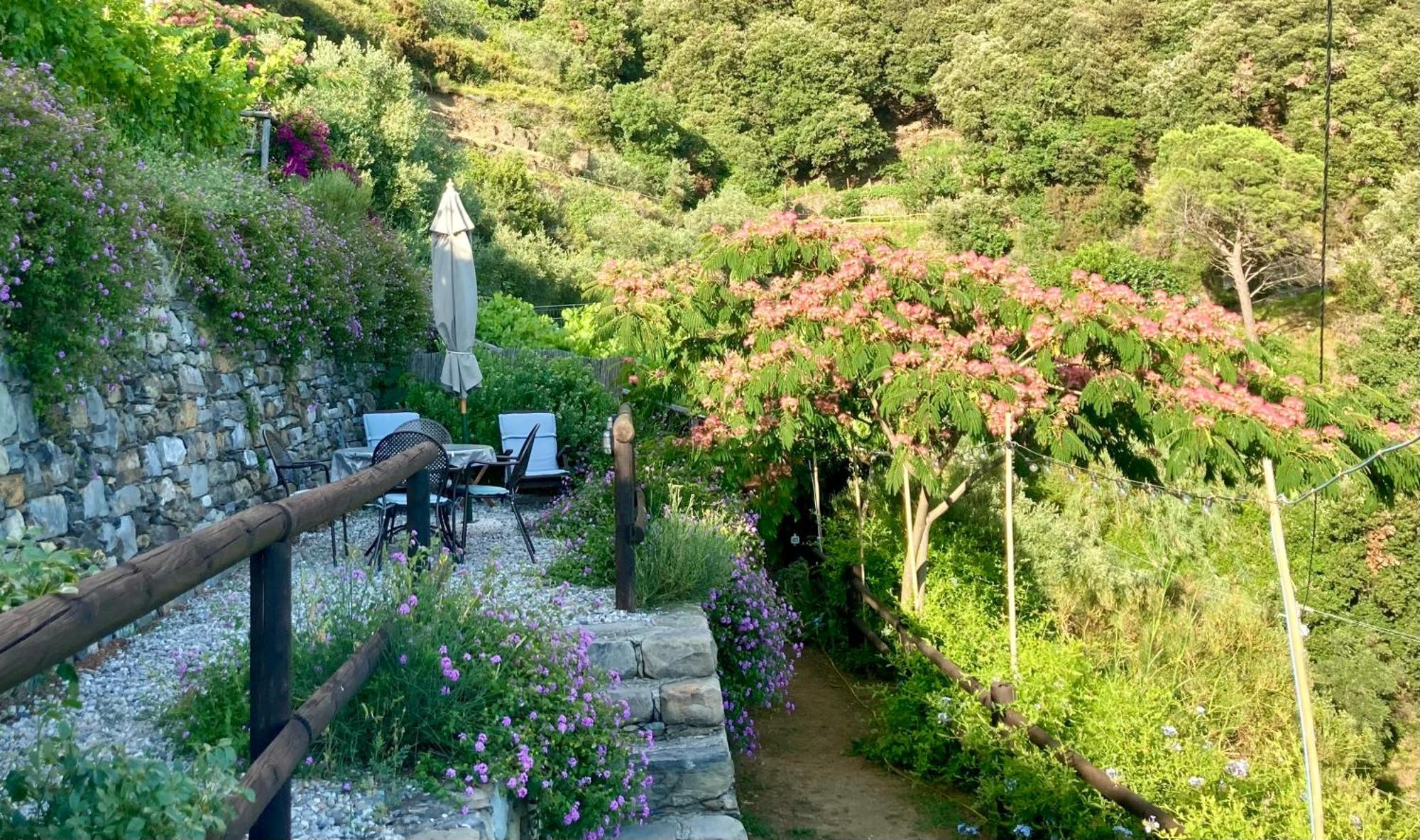 Farm stay Pietrafiore Monterosso al Mare
