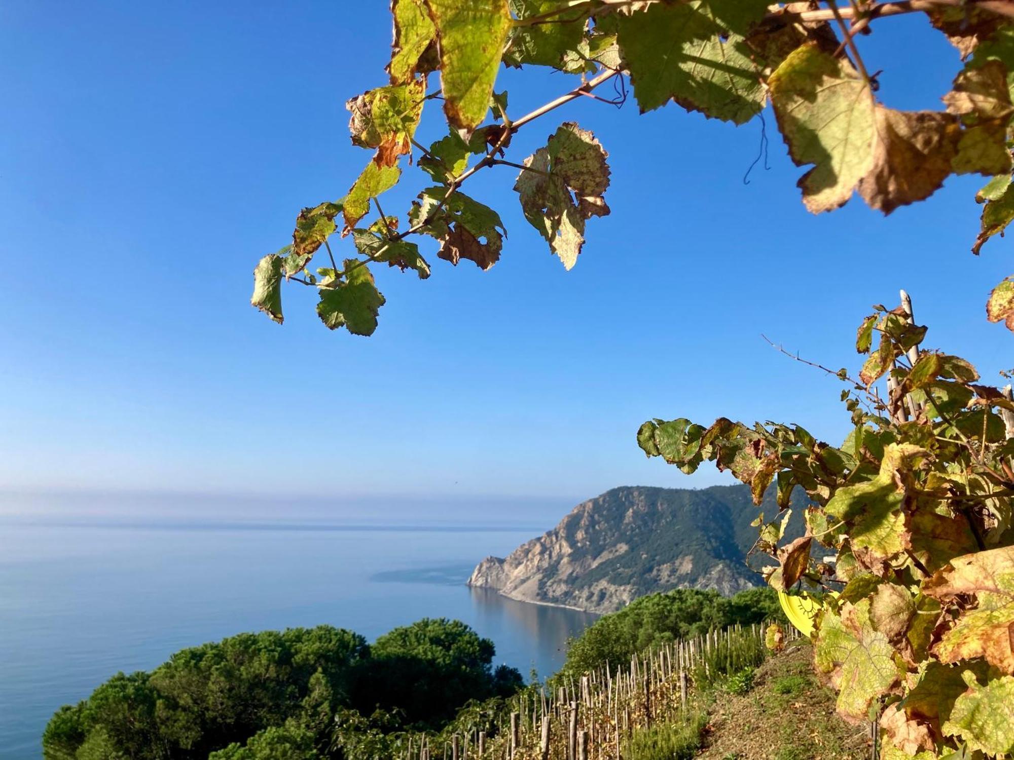 Farm stay Pietrafiore