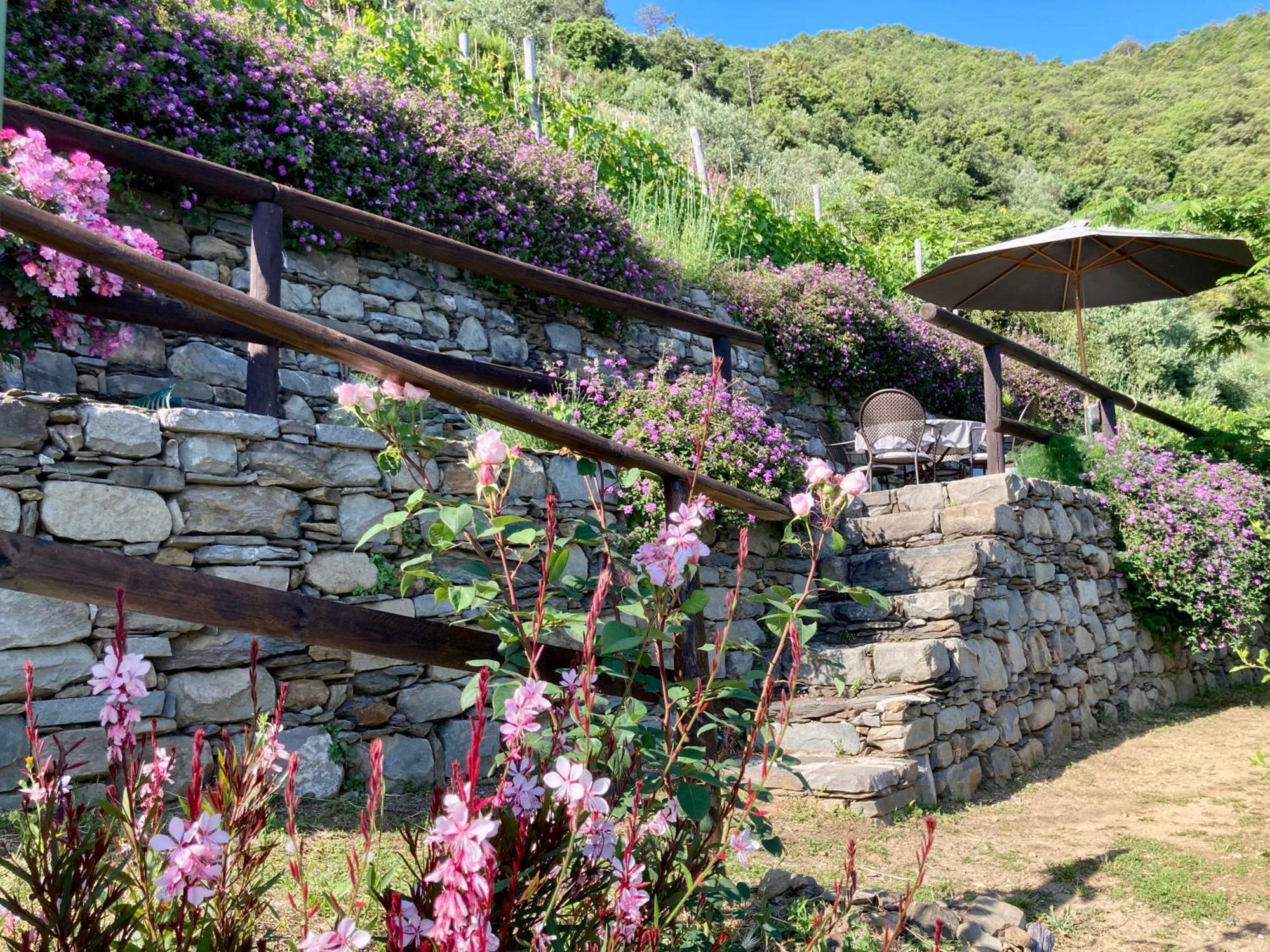Pietrafiore Farm stay Monterosso al Mare