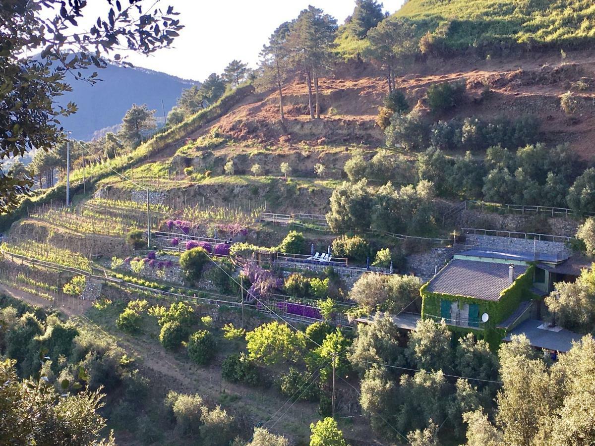Pietrafiore Farm stay