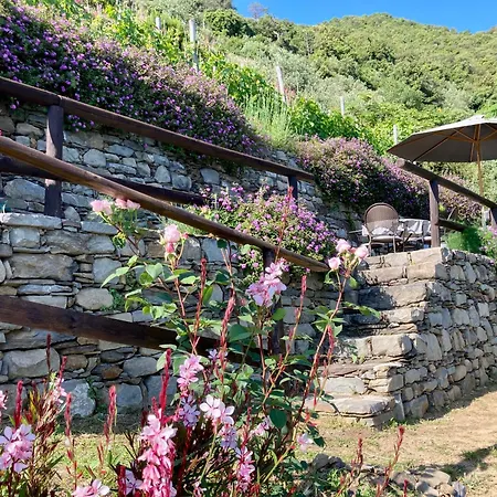Villa Pietrafiore Monterosso al Mare Exterior photo