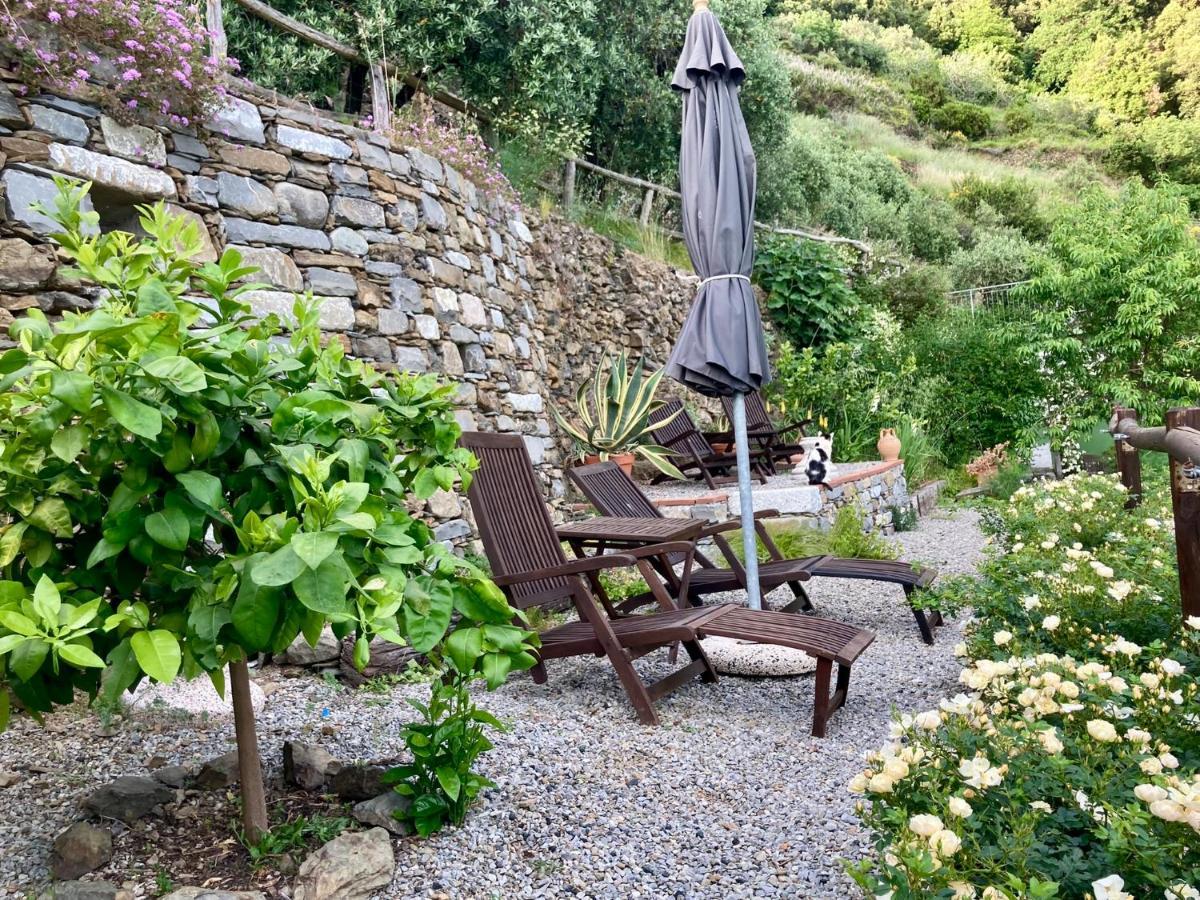 Farm stay Pietrafiore Monterosso al Mare